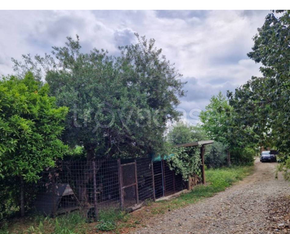 immagine annuncio 6 di 12