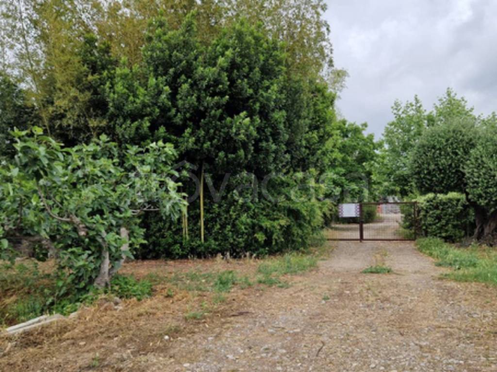 immagine annuncio 7 di 12