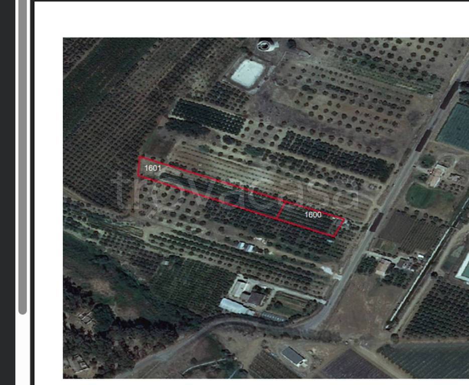 immagine annuncio 8 di 12