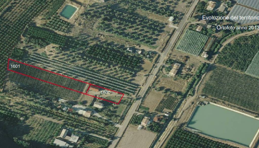 immagine annuncio 11 di 12