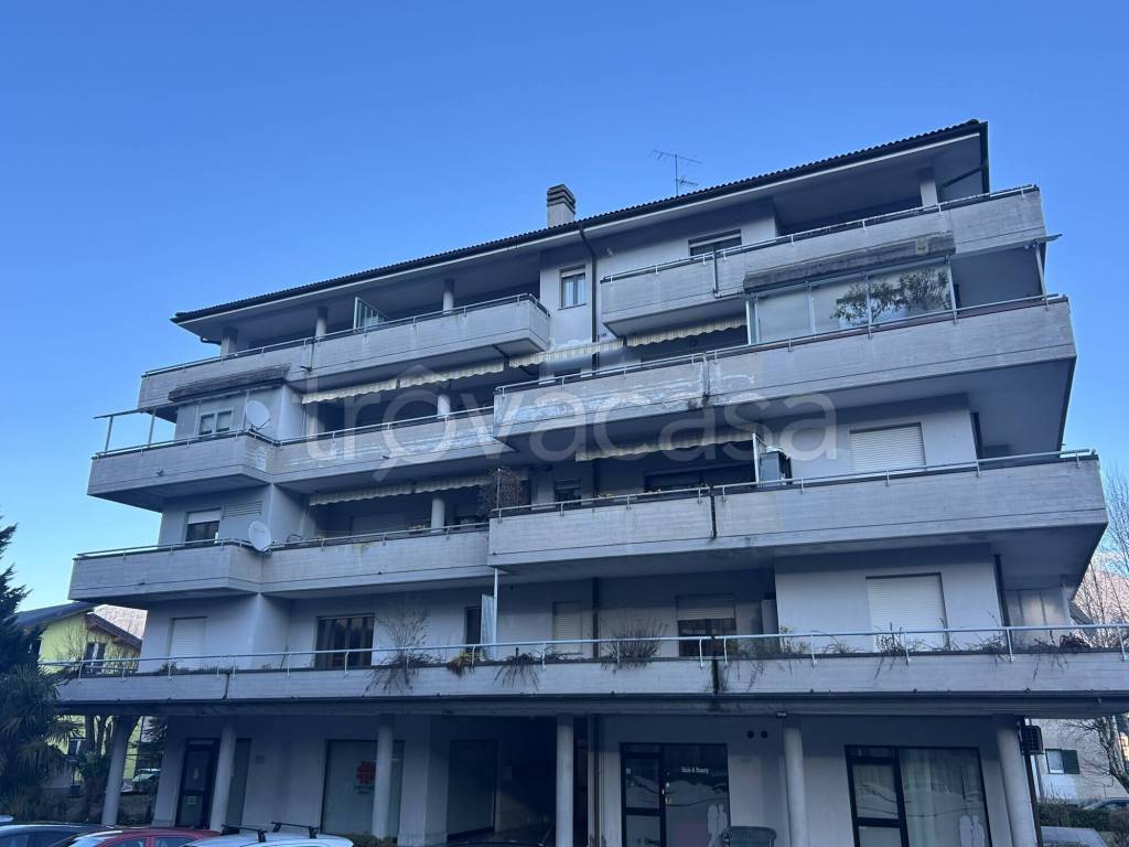 immagine annuncio 1 di 12