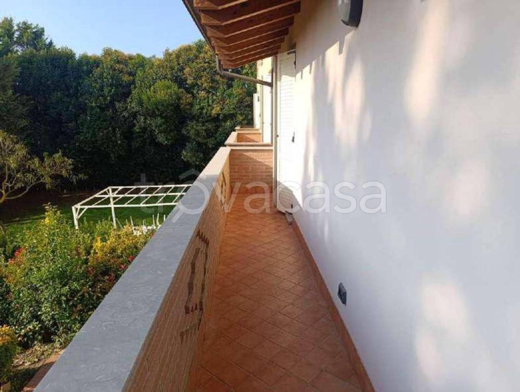 immagine annuncio 6 di 12