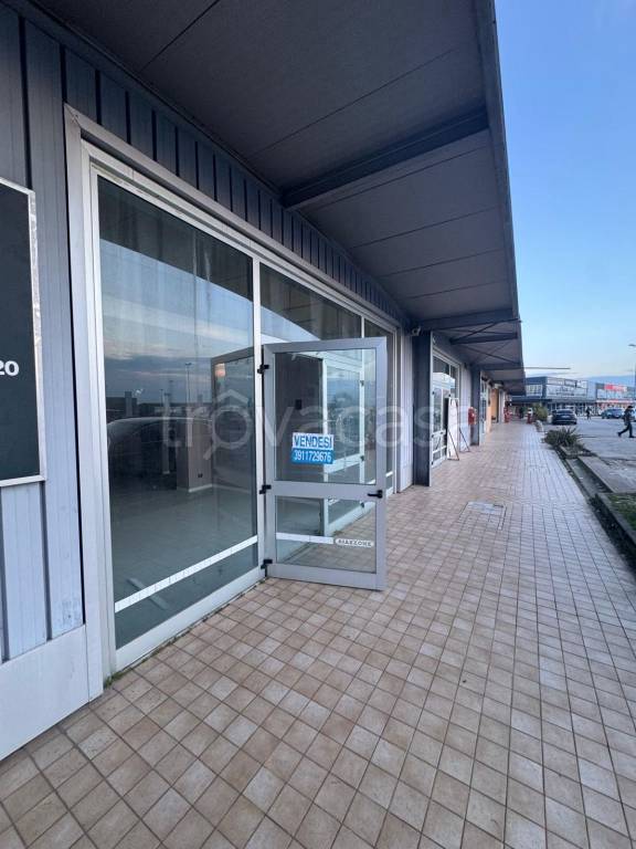 immagine annuncio 2 di 13