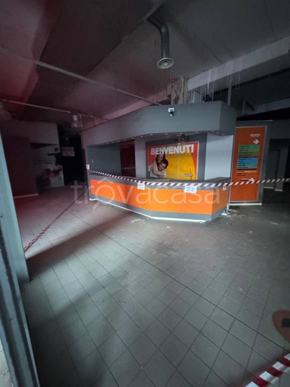 immagine annuncio 12 di 13