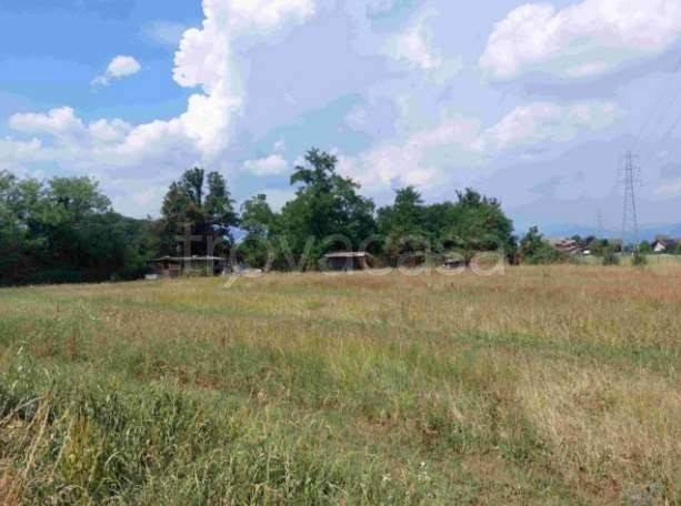 immagine annuncio 2 di 12