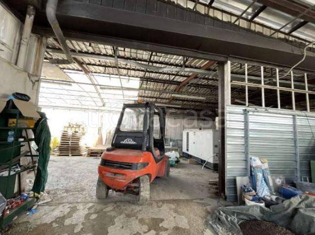 immagine annuncio 6 di 13