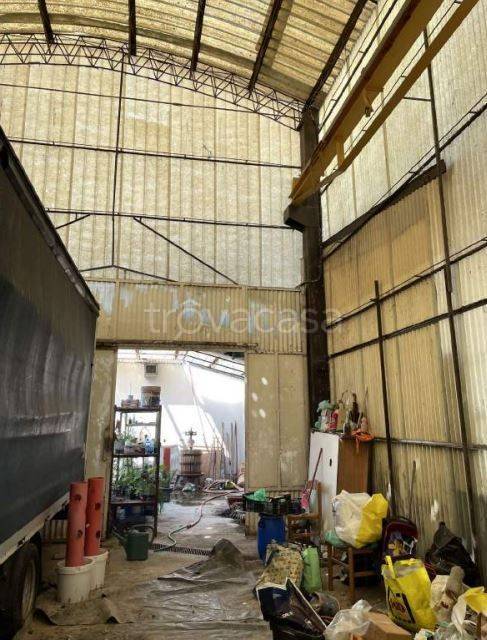 immagine annuncio 12 di 13