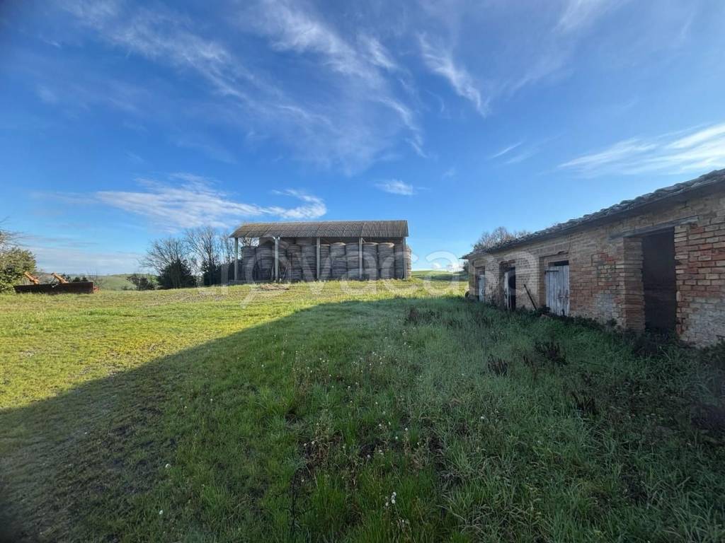 immagine annuncio 5 di 13