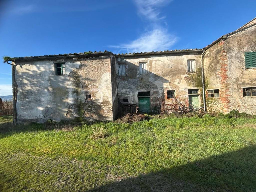 immagine annuncio 8 di 13