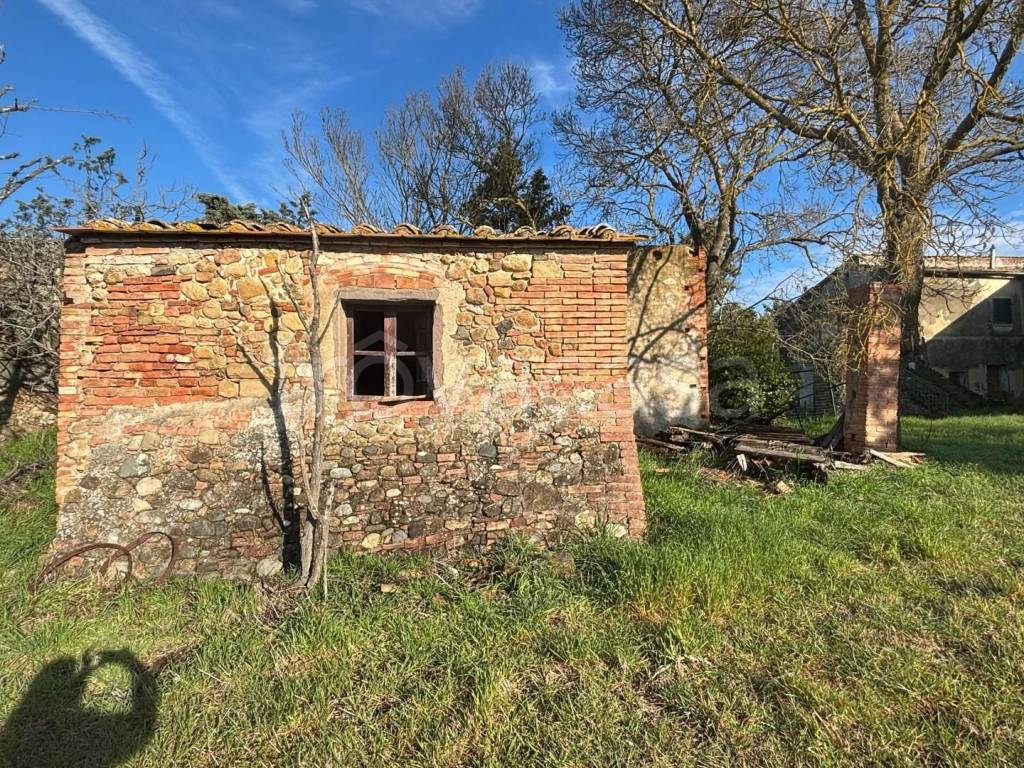 immagine annuncio 10 di 13