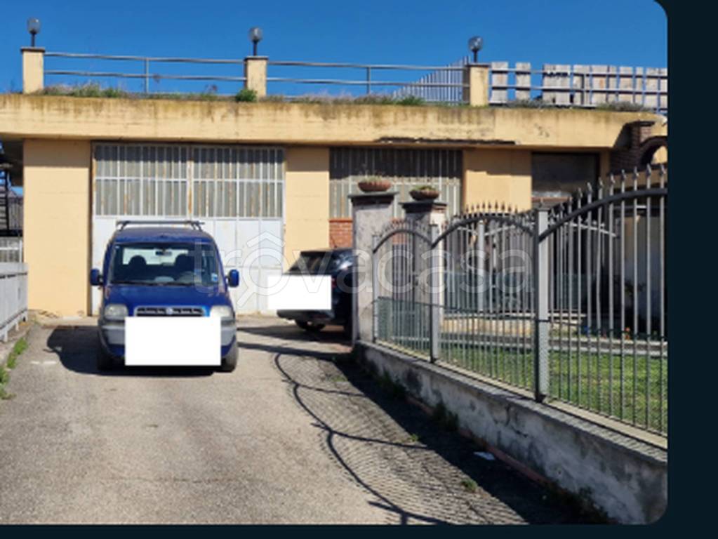 immagine annuncio 9 di 13