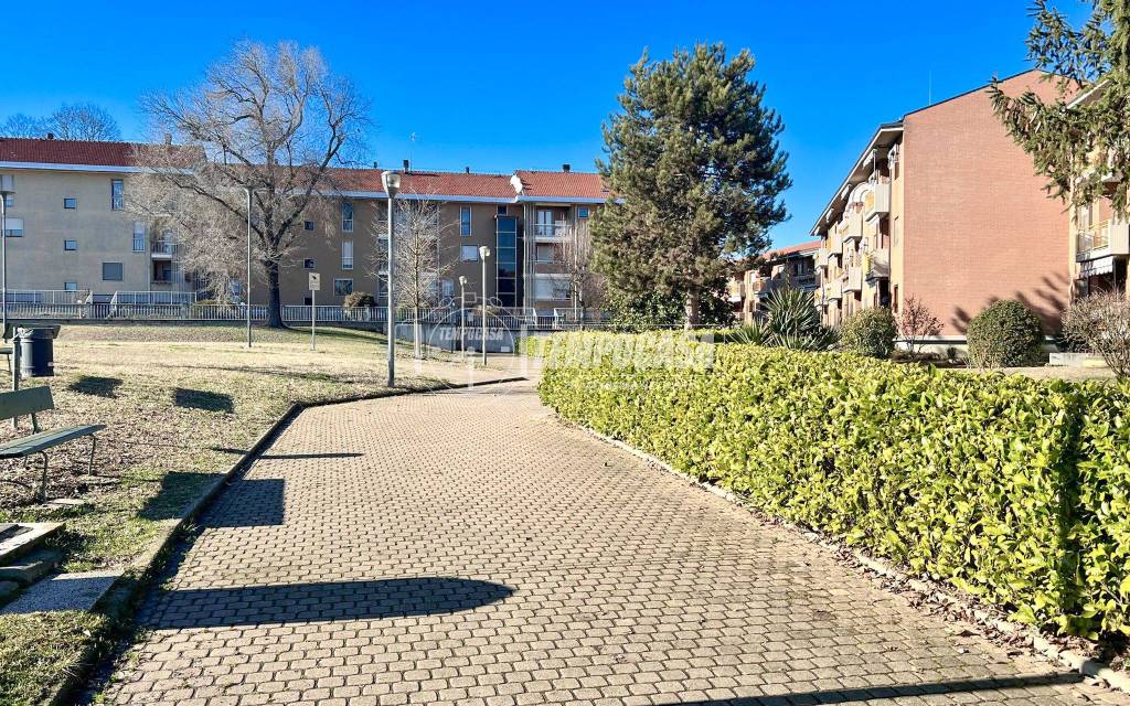 immagine annuncio 5 di 15