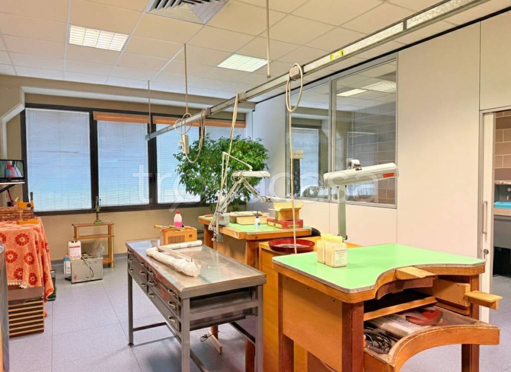 immagine annuncio 3 di 9