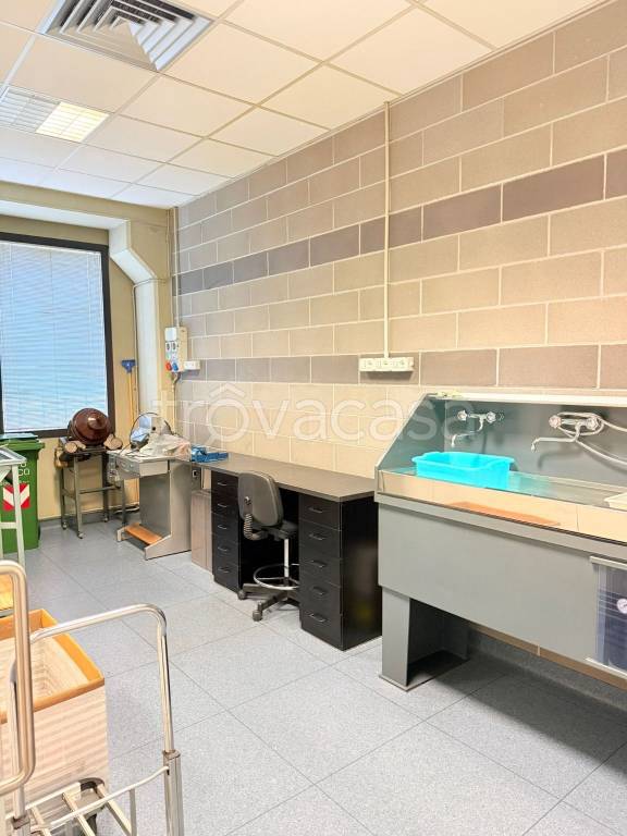 immagine annuncio 5 di 9