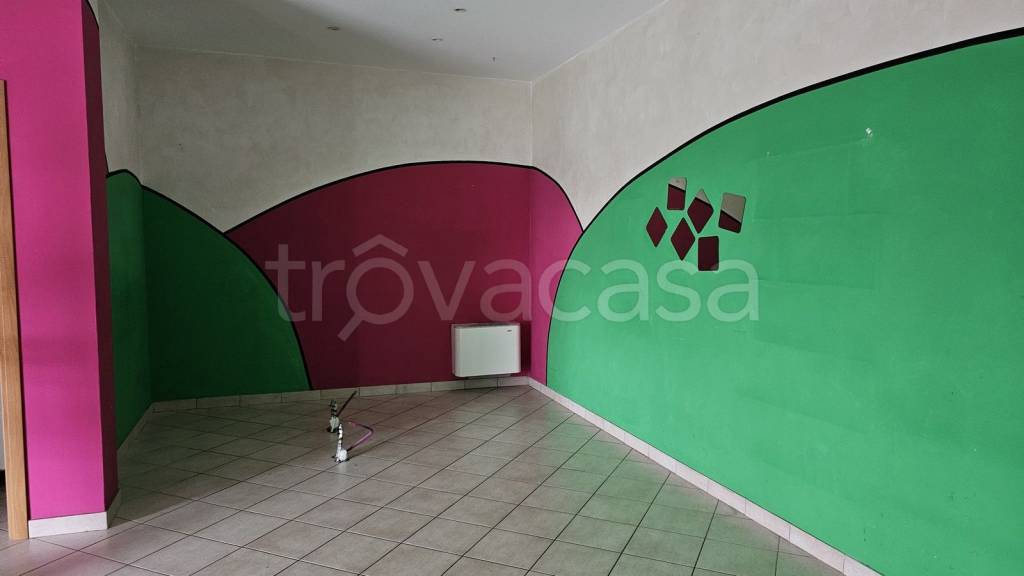 immagine annuncio 5 di 11