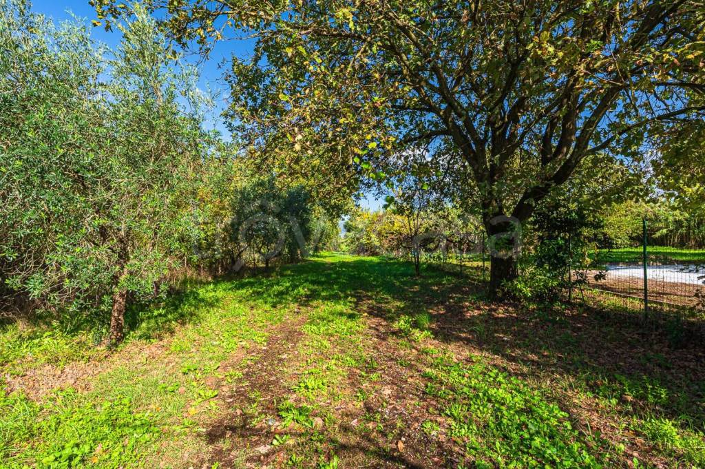 immagine annuncio 6 di 13