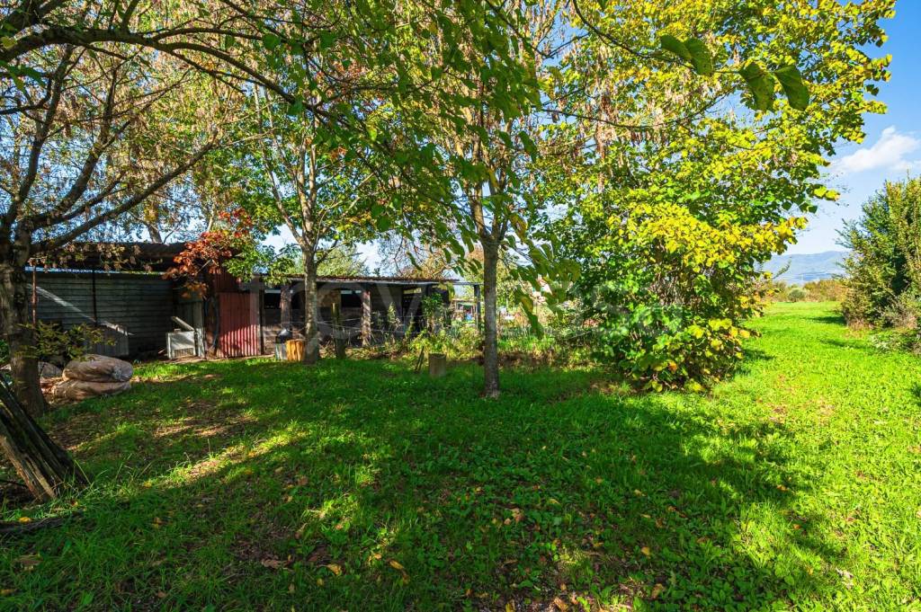 immagine annuncio 7 di 13