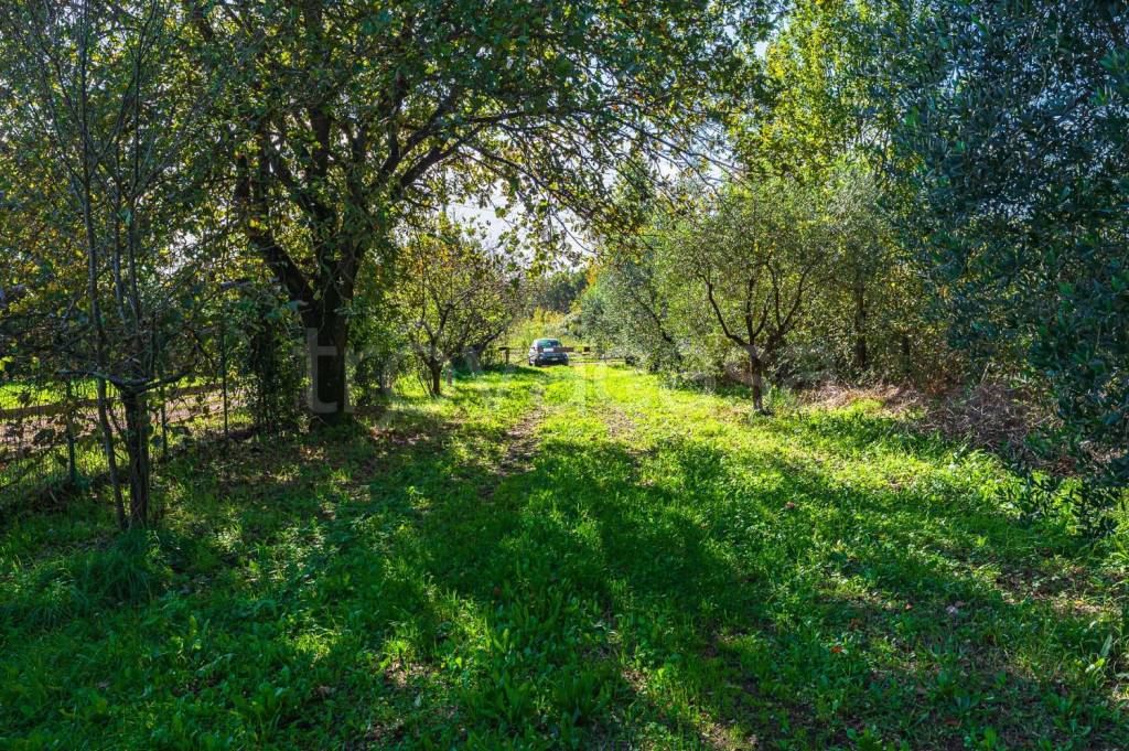 immagine annuncio 8 di 13