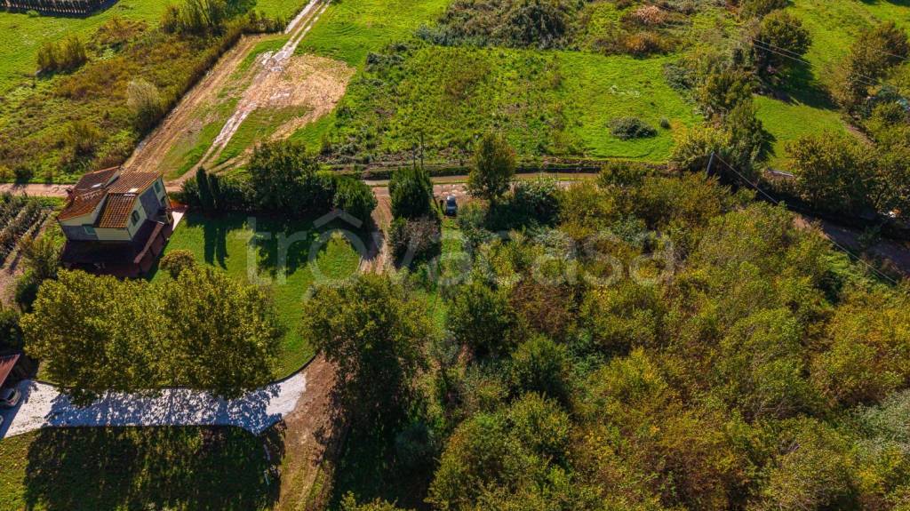 immagine annuncio 12 di 13