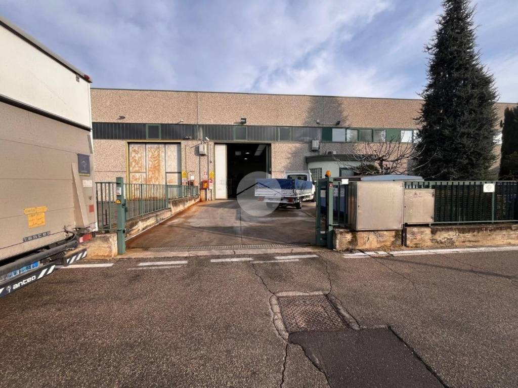 immagine annuncio 3 di 15