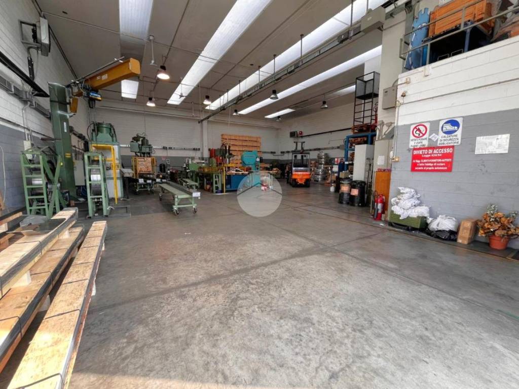 immagine annuncio 6 di 15