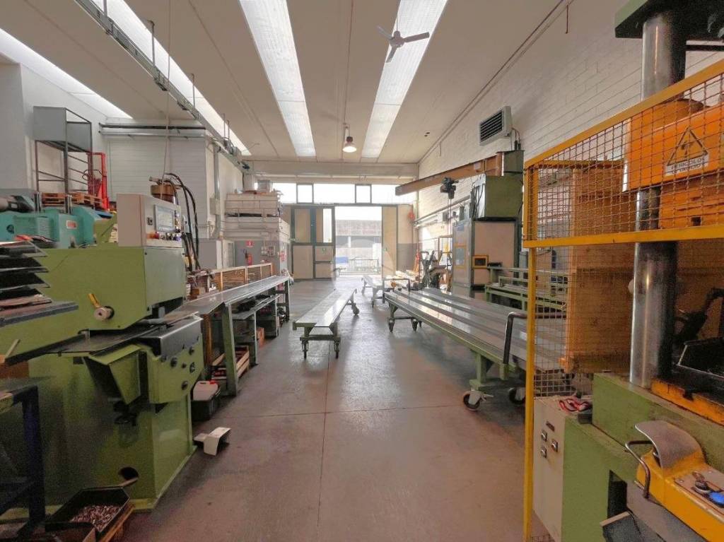 immagine annuncio 12 di 15