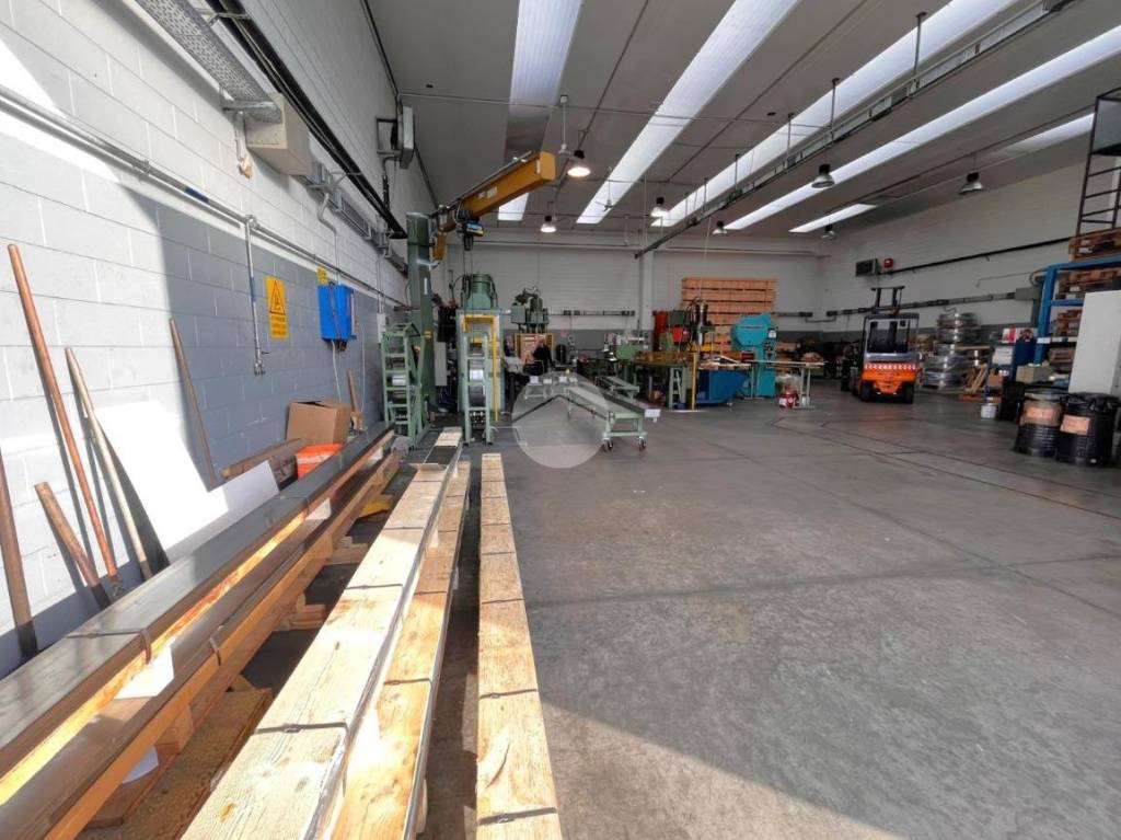 immagine annuncio 13 di 15