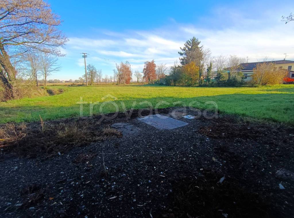 immagine annuncio 4 di 14