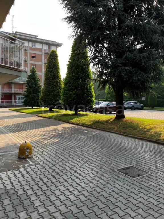 immagine annuncio 10 di 15