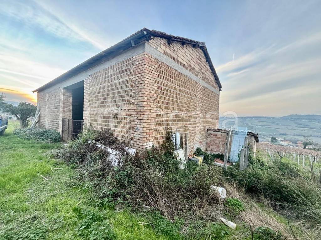 immagine annuncio 8 di 15