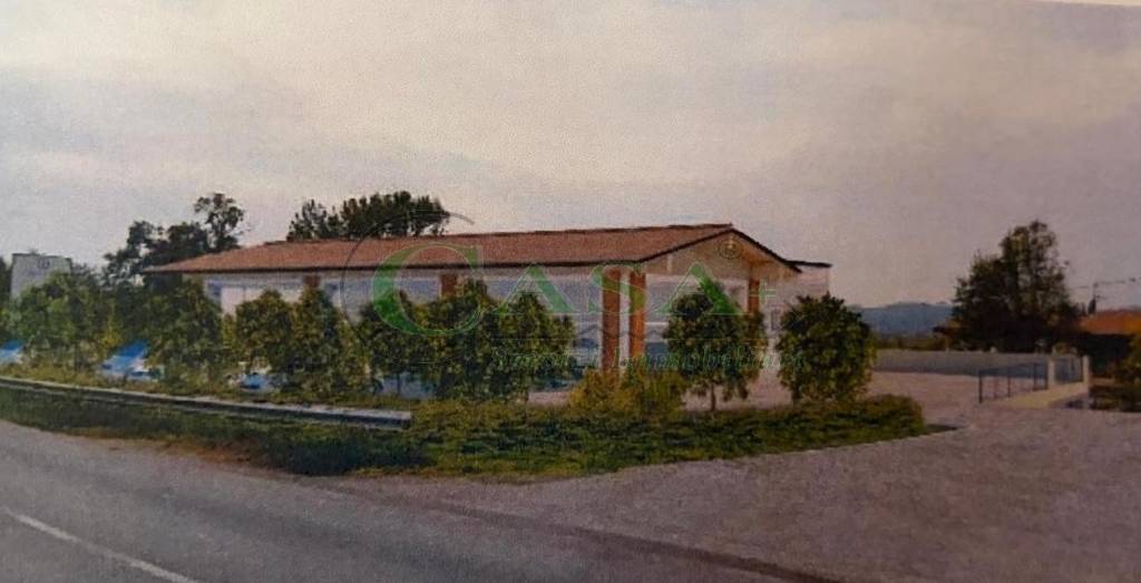 immagine annuncio 1 di 7