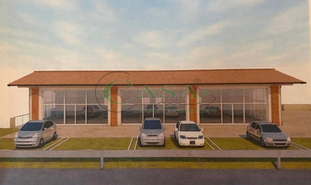 immagine annuncio 5 di 7