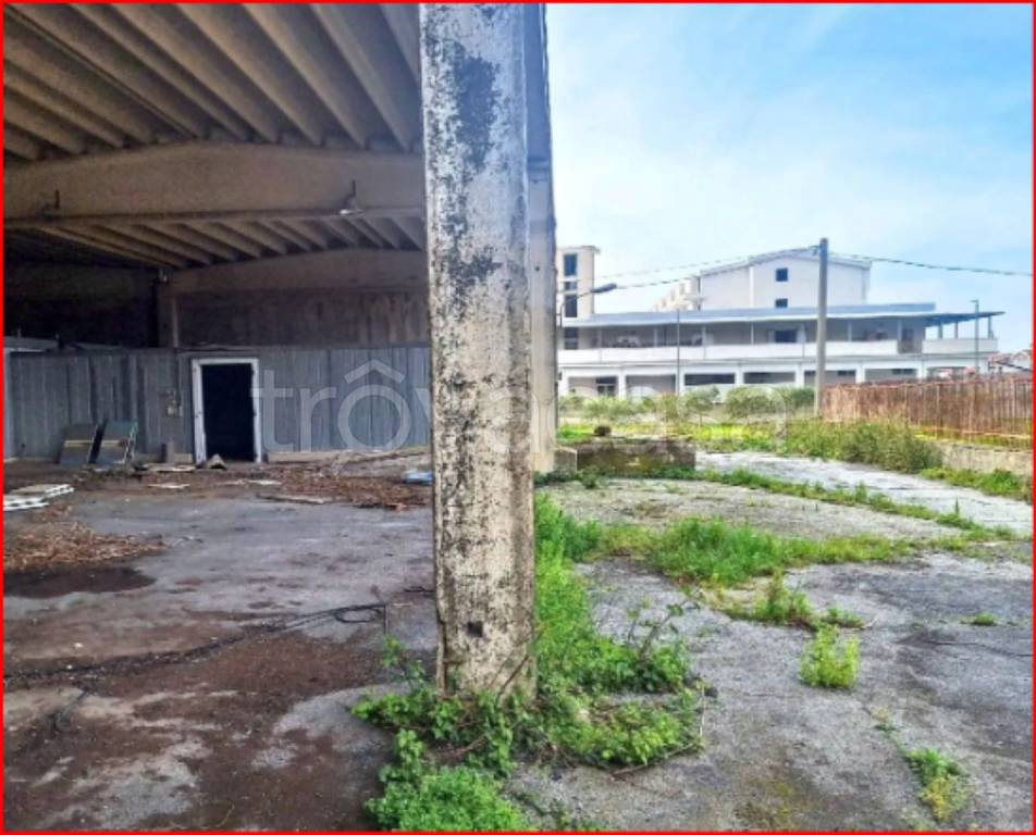 immagine annuncio 4 di 12