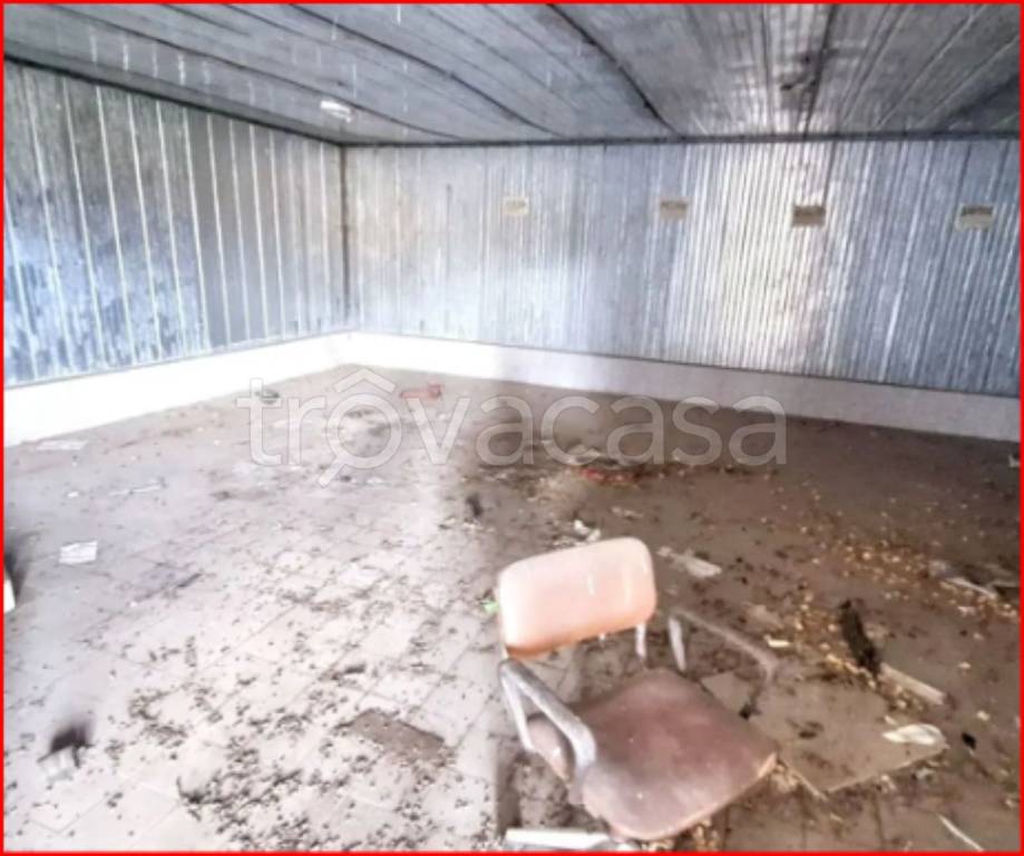 immagine annuncio 6 di 12