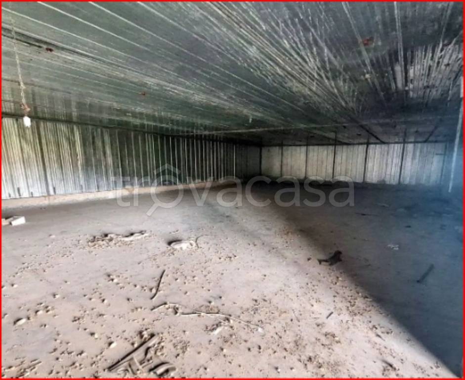 immagine annuncio 7 di 12