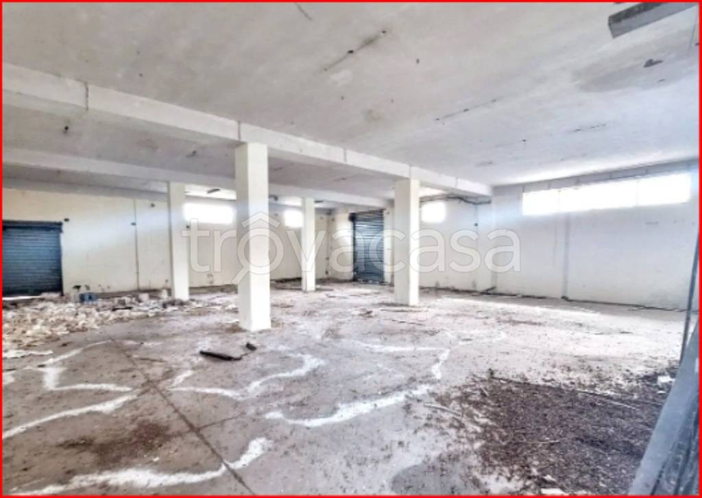 immagine annuncio 9 di 12