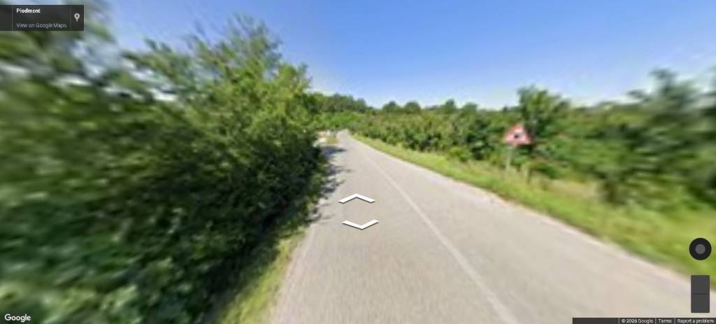 immagine annuncio 9 di 14