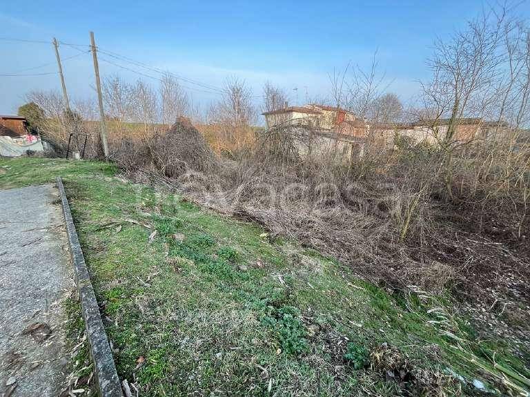 immagine annuncio 11 di 14