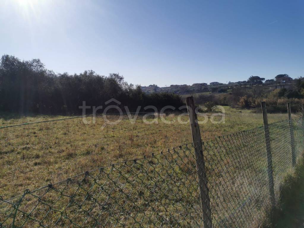 immagine annuncio 3 di 11