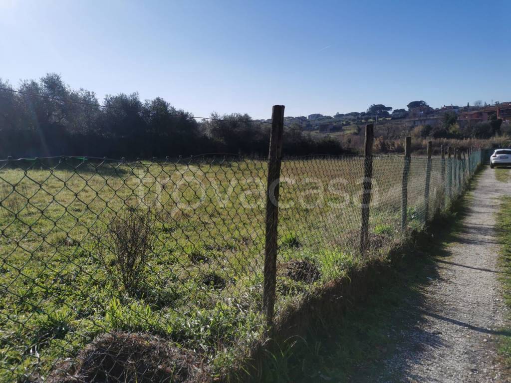 immagine annuncio 7 di 11