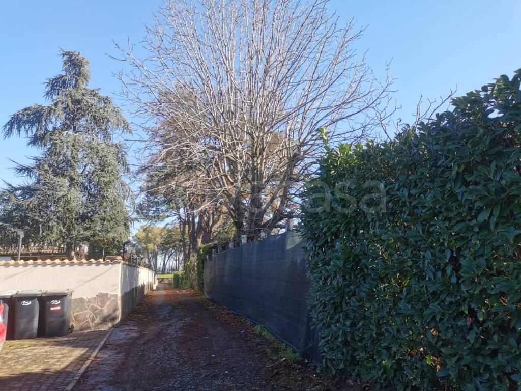 immagine annuncio 8 di 11