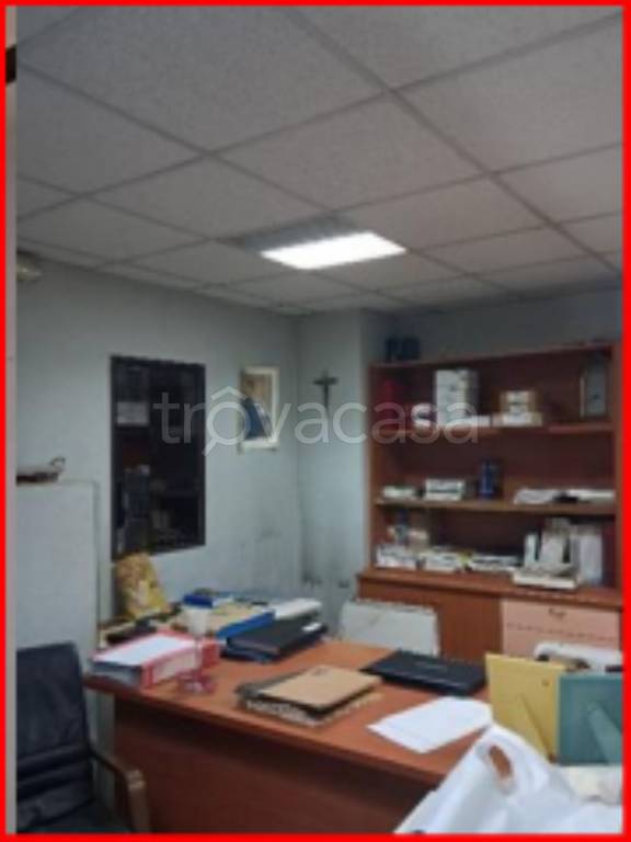 immagine annuncio 7 di 11