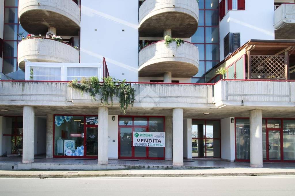 immagine annuncio 12 di 13