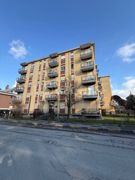 immagine annuncio 3 di 15