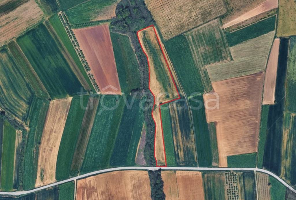 immagine annuncio 4 di 10