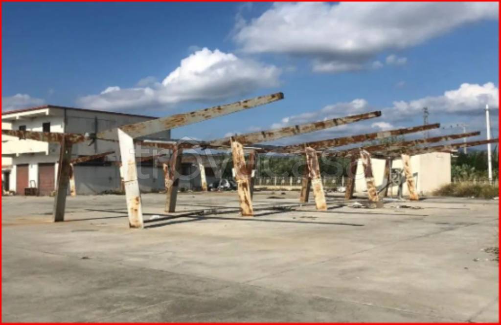 immagine annuncio 2 di 12