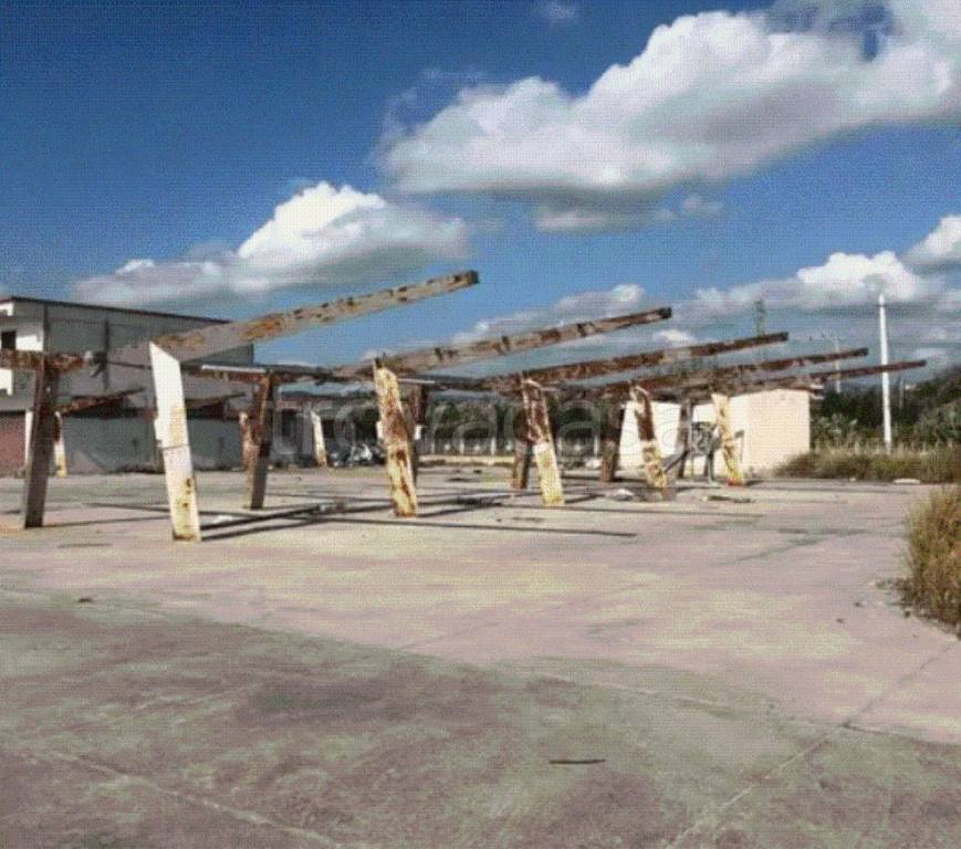 immagine annuncio 4 di 8