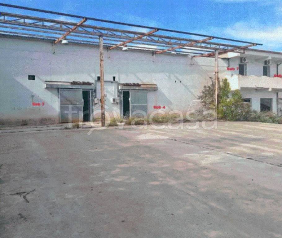 immagine annuncio 6 di 8