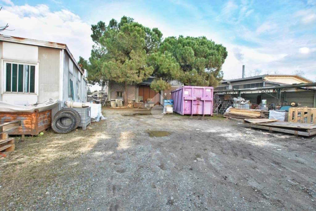 immagine annuncio 2 di 15