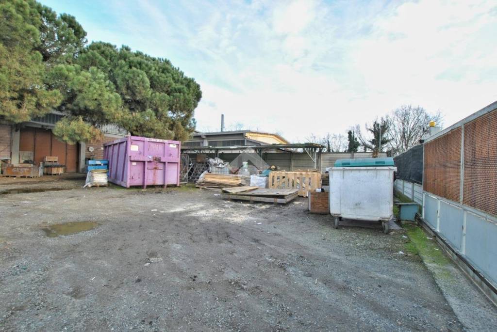 immagine annuncio 3 di 15